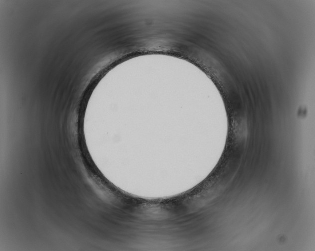 X0000101660534200808071023