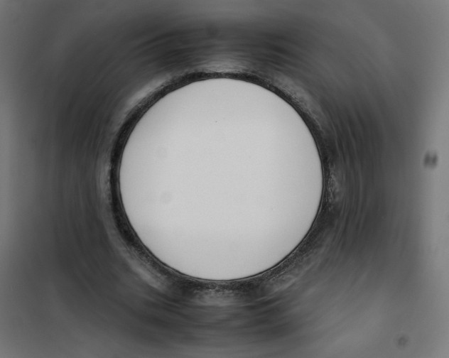 X0000101660535200808071023