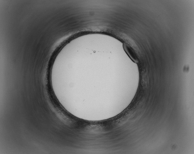 X0000101660536200808071023