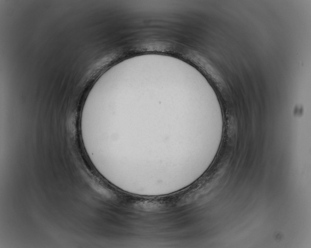 X0000101660537200808071023