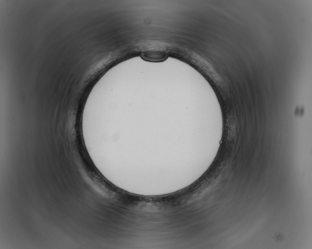 X0000101660538200808071023