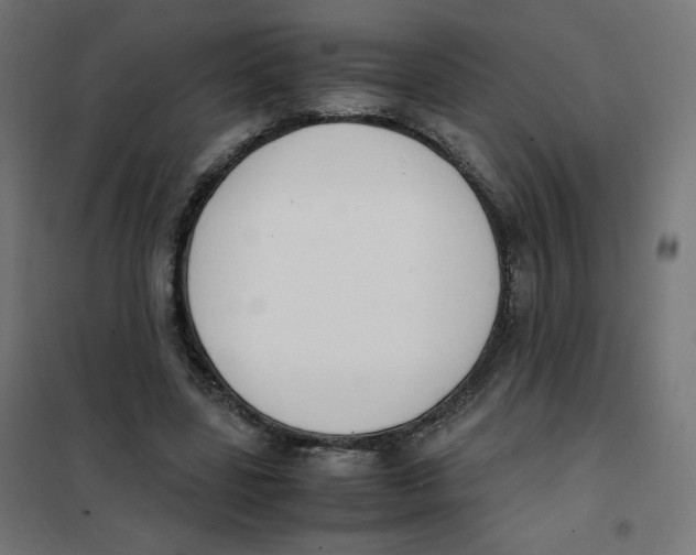 X0000101660539200808071023