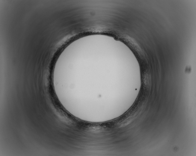 X0000101660540200808071023