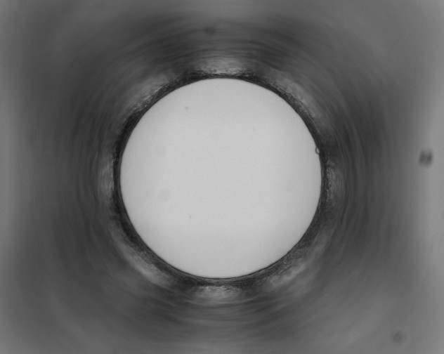 X0000101660541200808071023