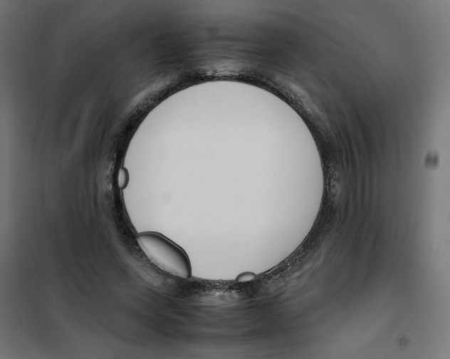 X0000101660543200808071023