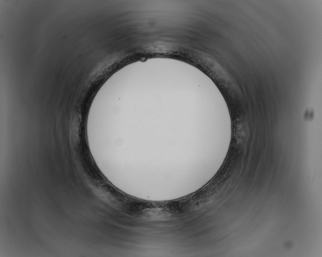 X0000101660544200808071023