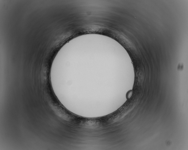 X0000101660546200808071023