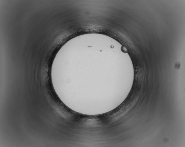 X0000101660548200808071023