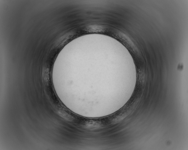 X0000101660549200808071023
