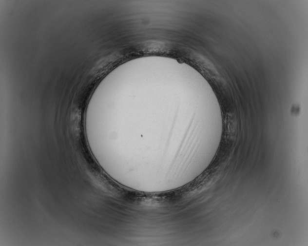 X0000101660550200808071023