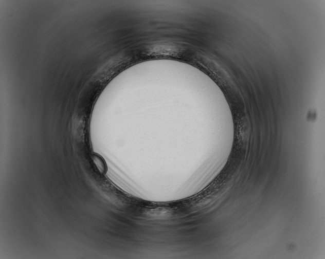 X0000101660551200808071023