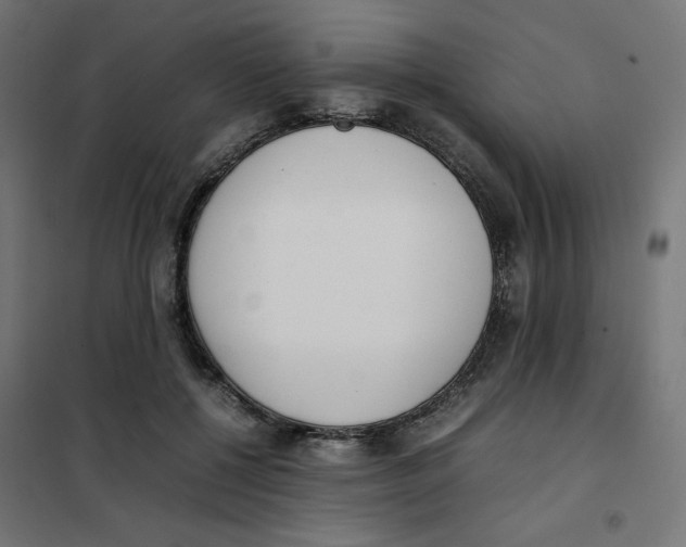 X0000101660552200808071023