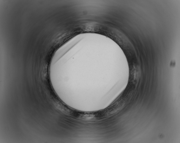 X0000101660554200808071023