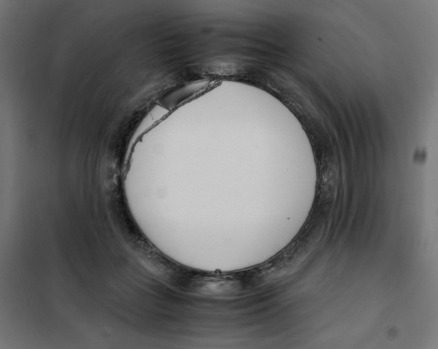 X0000101660555200808071023