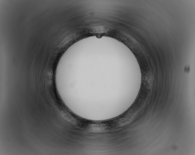 X0000101660556200808071023