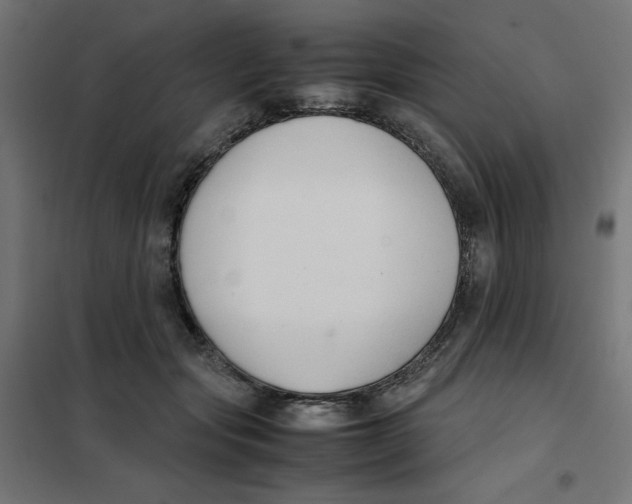 X0000101660557200808071023