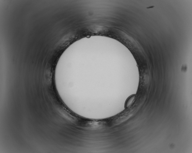 X0000101660558200808071024