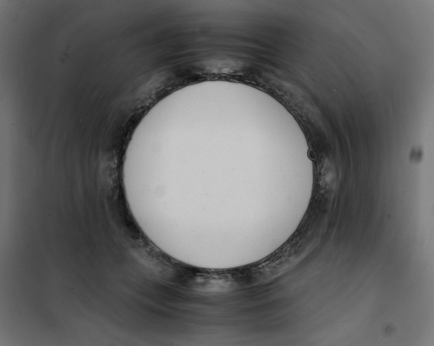 X0000101660559200808071024
