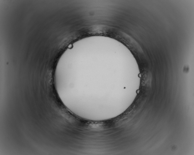X0000101660560200808071024