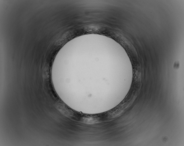 X0000101660561200808071024