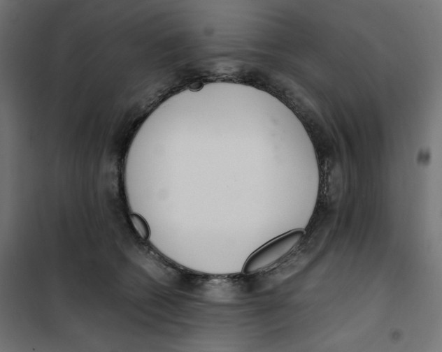 X0000101660562200808071024