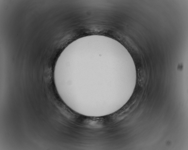 X0000101660563200808071024