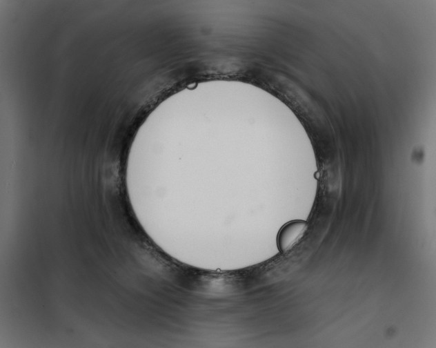 X0000101660564200808071024