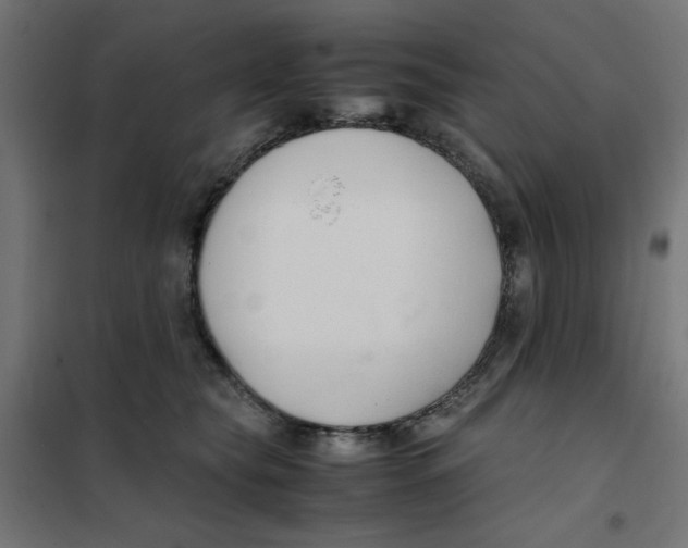 X0000101660565200808071024