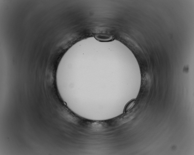 X0000101660566200808071024