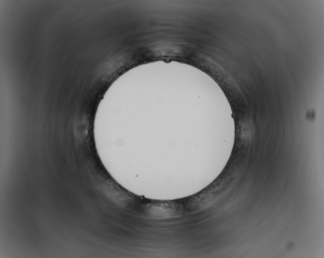 X0000101660567200808071024