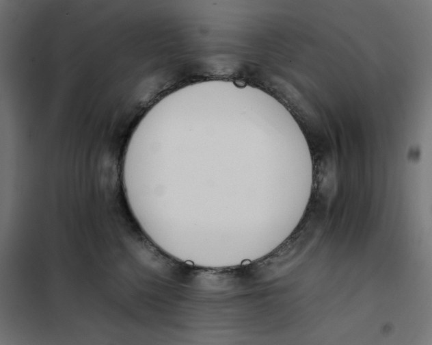 X0000101660568200808071024