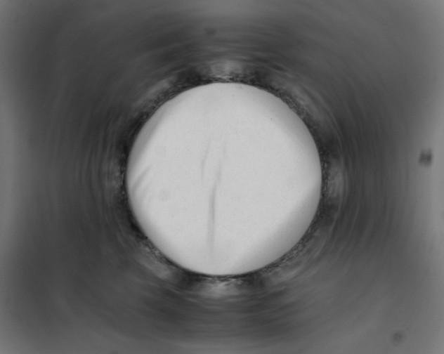 X0000101660569200808071024