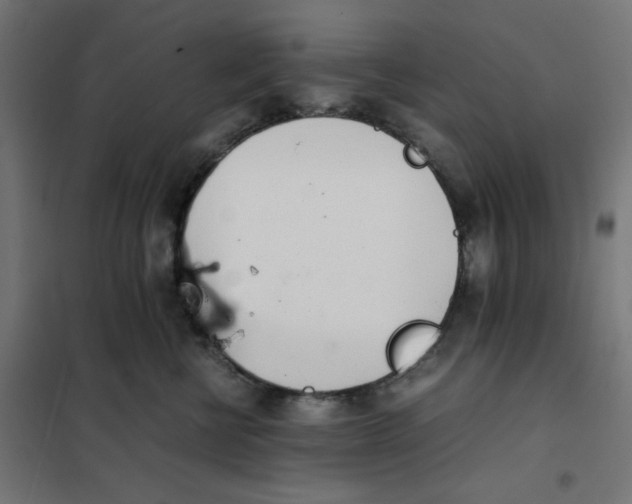 X0000101660570200808071024