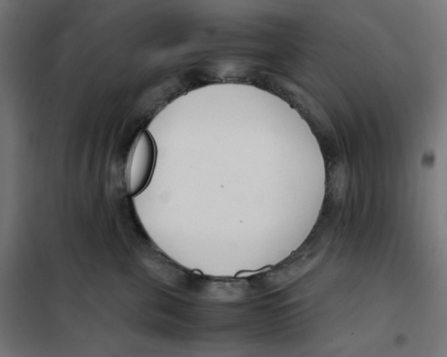X0000101660571200808071024
