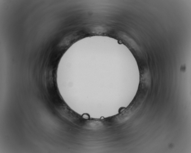 X0000101660572200808071024
