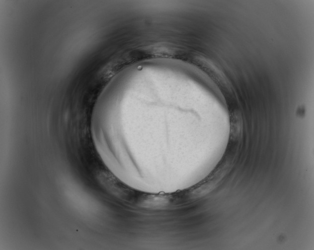 X0000101660573200808071024