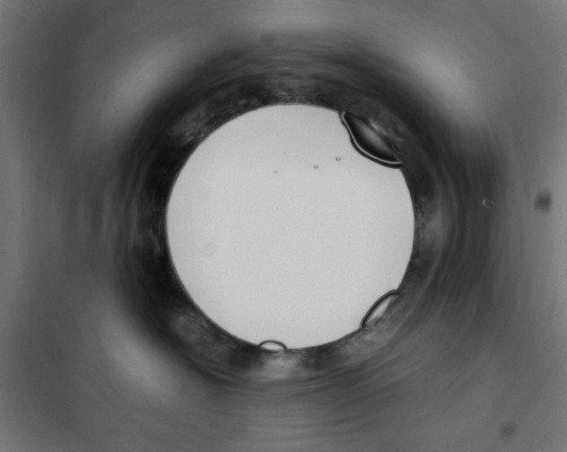 X0000101660574200808071024