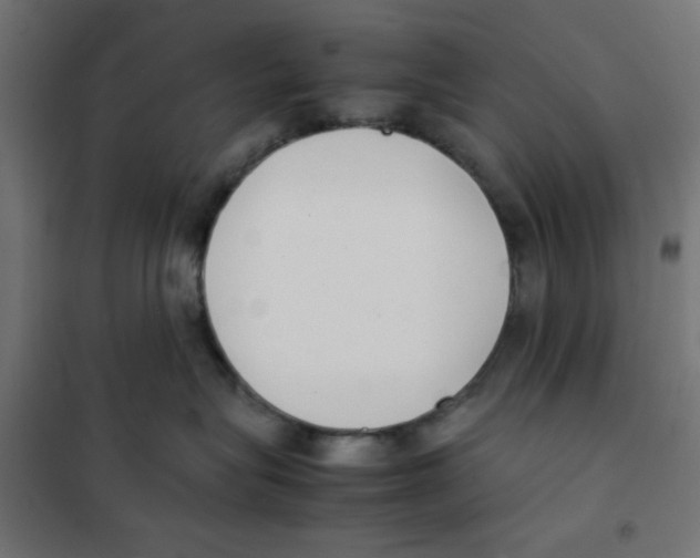 X0000101660575200808071024