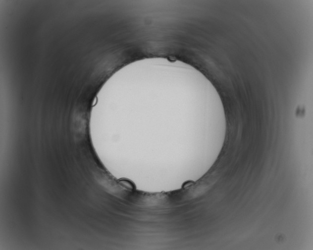 X0000101660576200808071024
