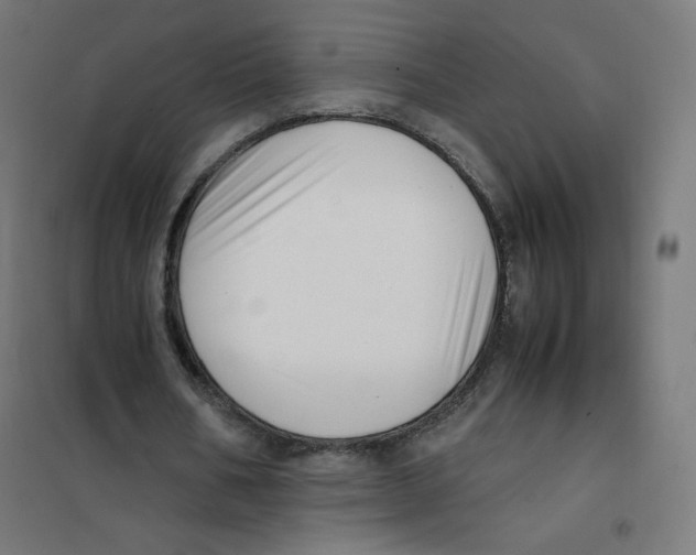 X0000101660578200808071023