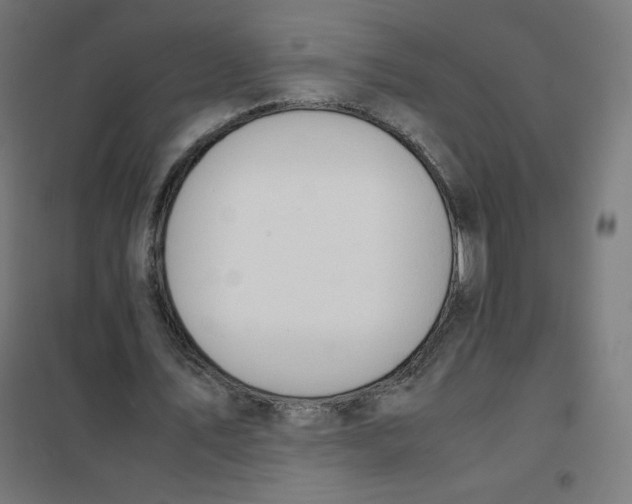 X0000101660579200808071023
