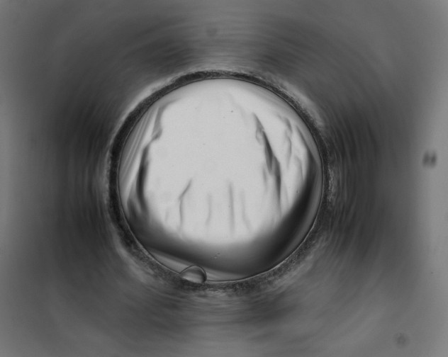 X0000101660580200808071023
