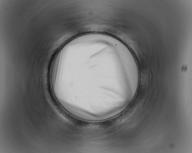 X0000101660581200808071023