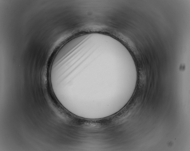 X0000101660582200808071023