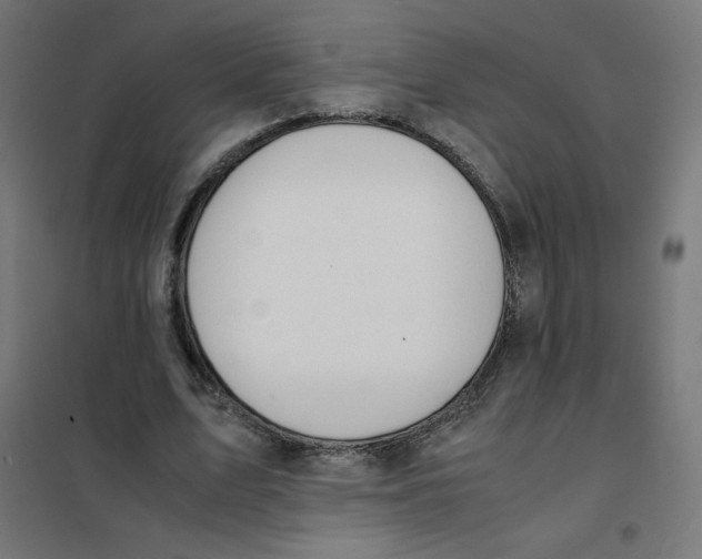 X0000101660583200808071023