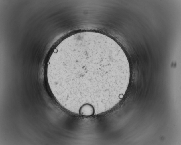 X0000101660584200808071023