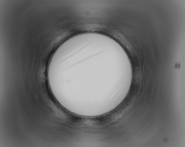 X0000101660585200808071023