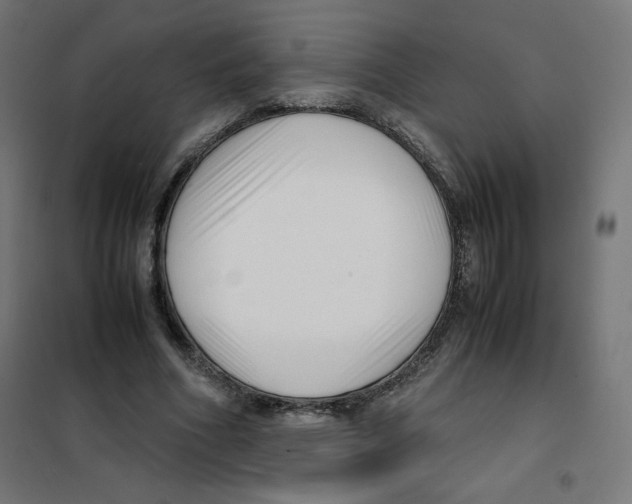 X0000101660586200808071023