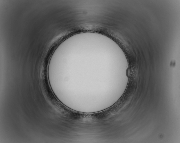X0000101660587200808071023