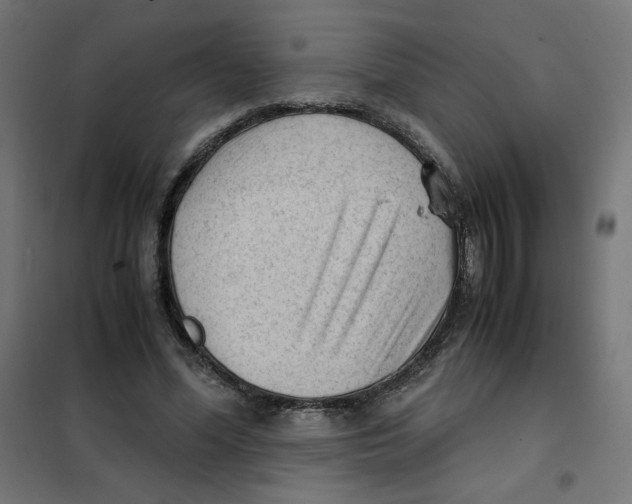X0000101660588200808071023